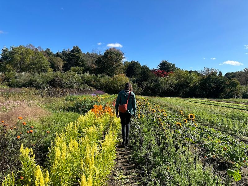 Learn About Sustainable Farming Practices