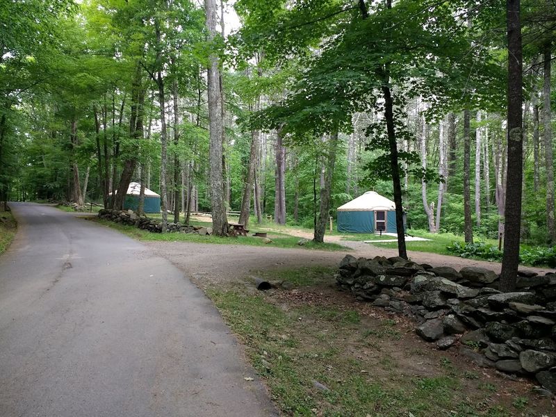 Camp Beneath The Tall Pines