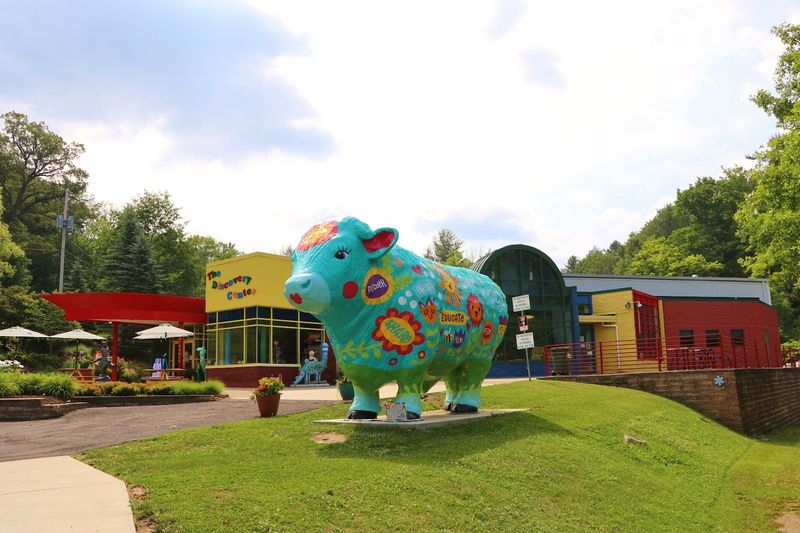 The Discovery Center of the Southern Tier — Binghamton
