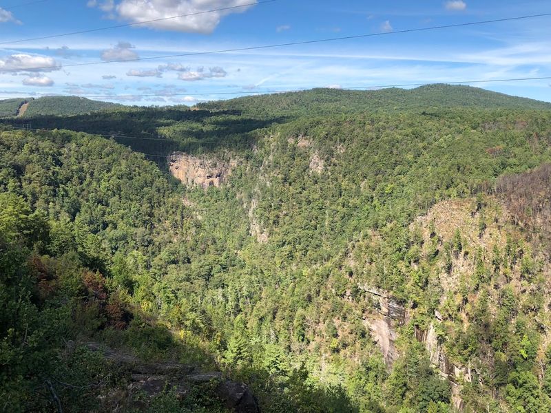 Take in dramatic overlooks before enjoying a picnic with mountain scenery at Tallulah Gorge State Park