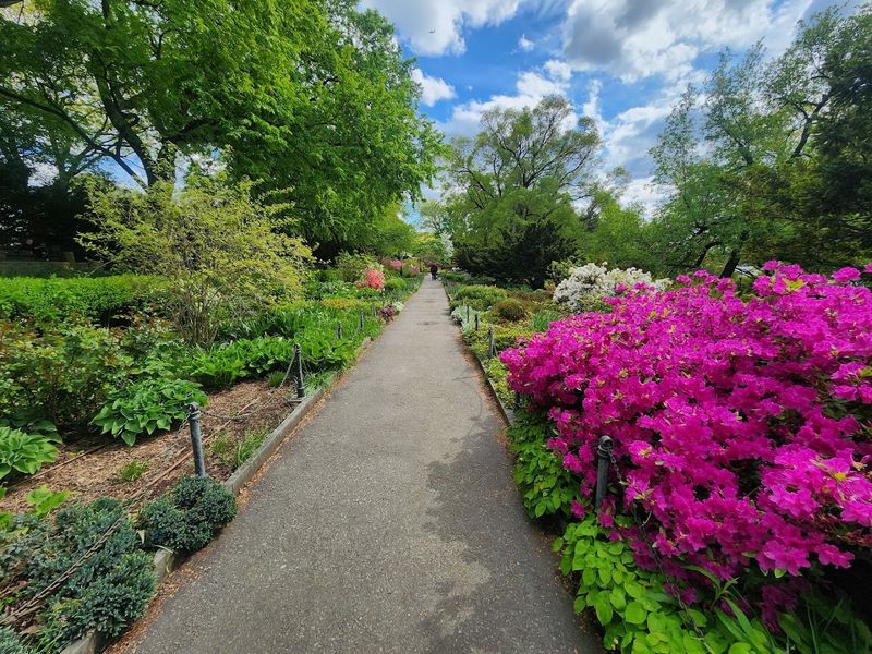 Heather Garden Steals the Show