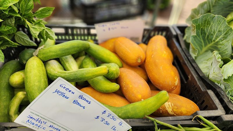 Danbury Farmers Market - Danbury