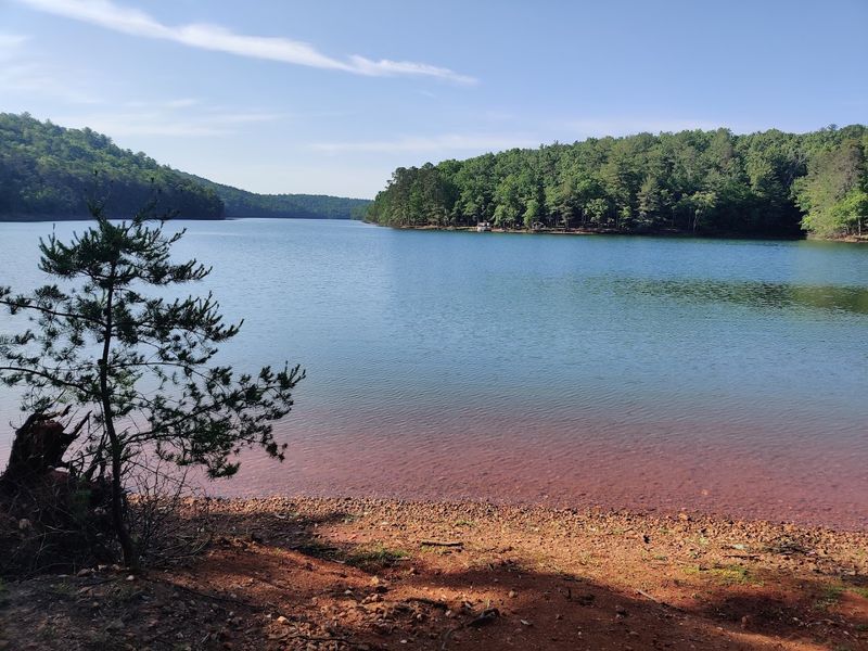 Philpott Lake - Bassett
