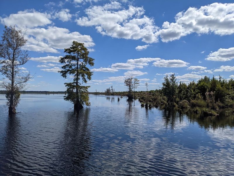 Lake Drummond