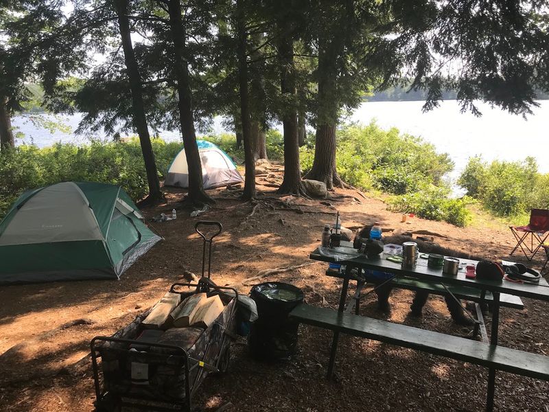 The Cart-Hauling Adventure That Builds Anticipation