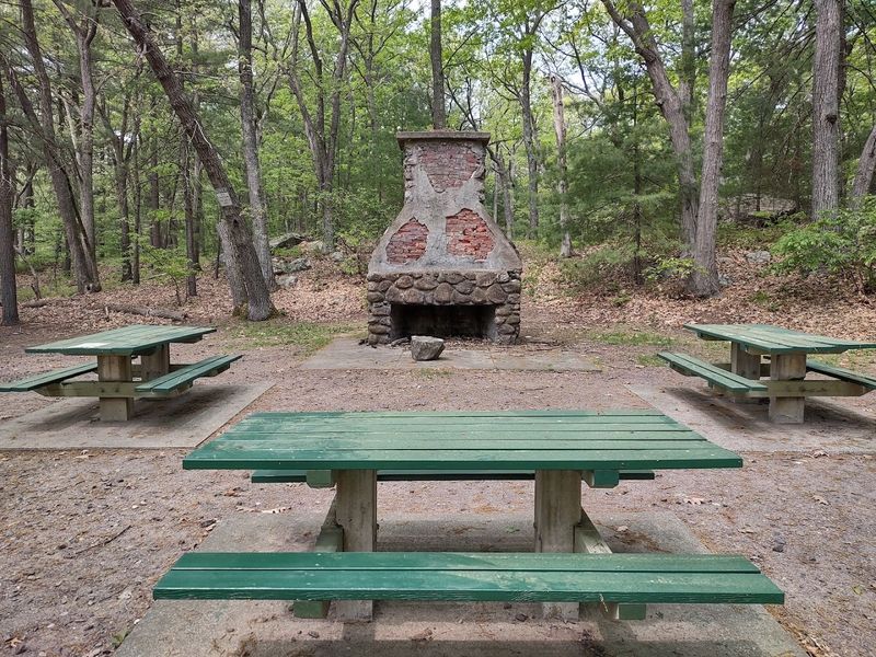 Peaceful Picnic Areas Away From Urban Noise