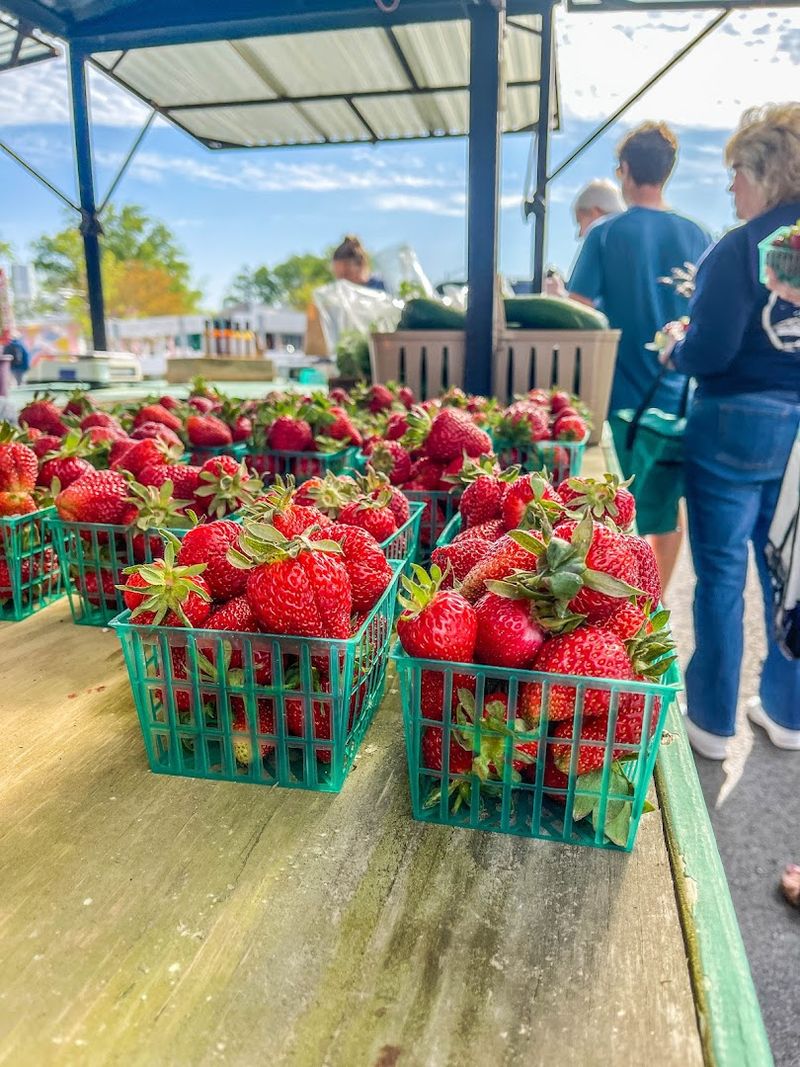 Old Beach Farmers Market