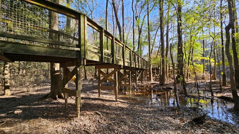 Boardwalk Loop Trail- Hopkins, Richland County