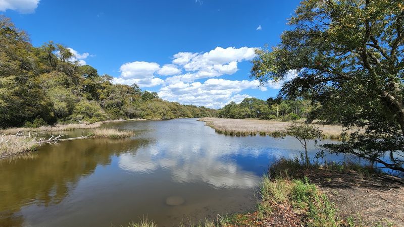 Botany Bay Heritage Preserve - Edisto Island