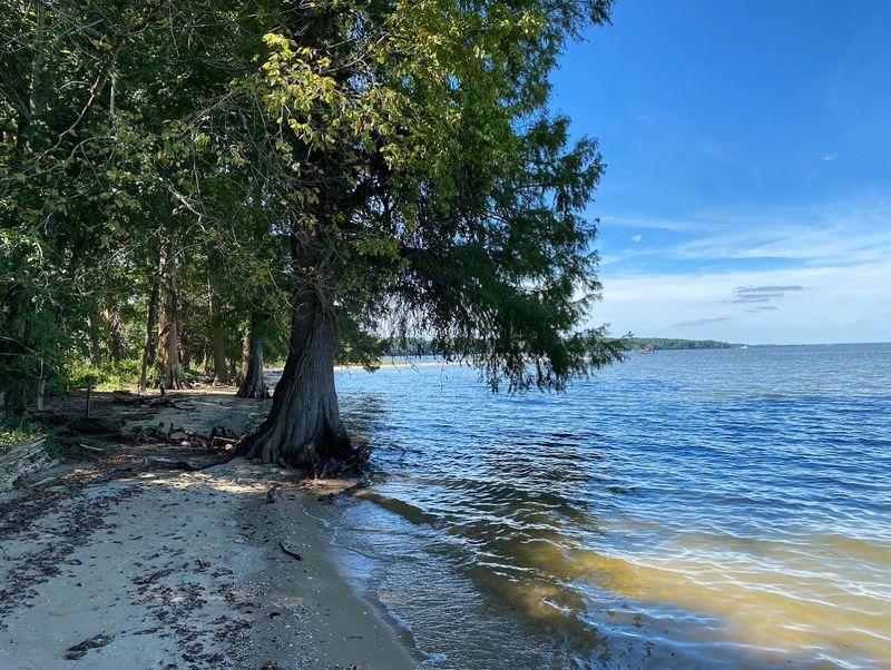 Chippokes State Park Water Trail