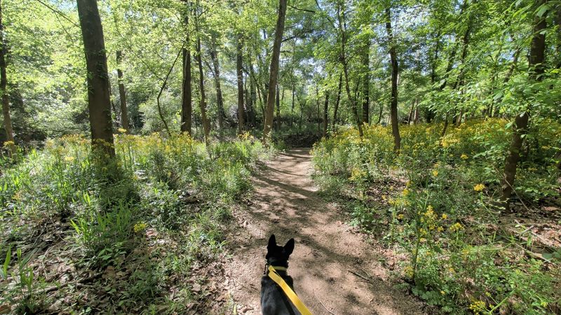 A Favorite For Runners, Dog Walkers, And Everyday Exercisers