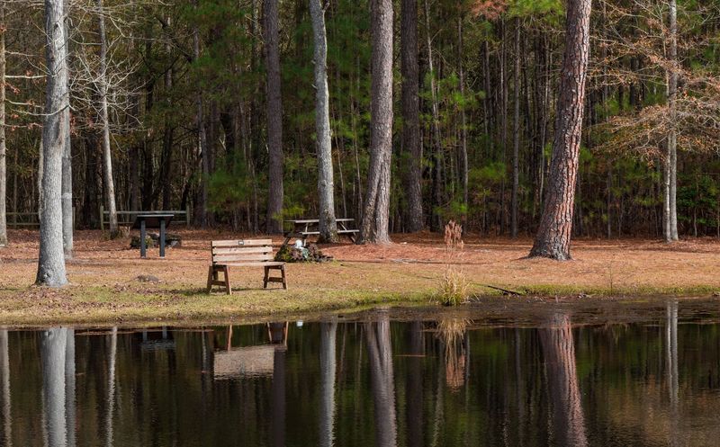 Why This Hidden Gem Is Worth The Detour