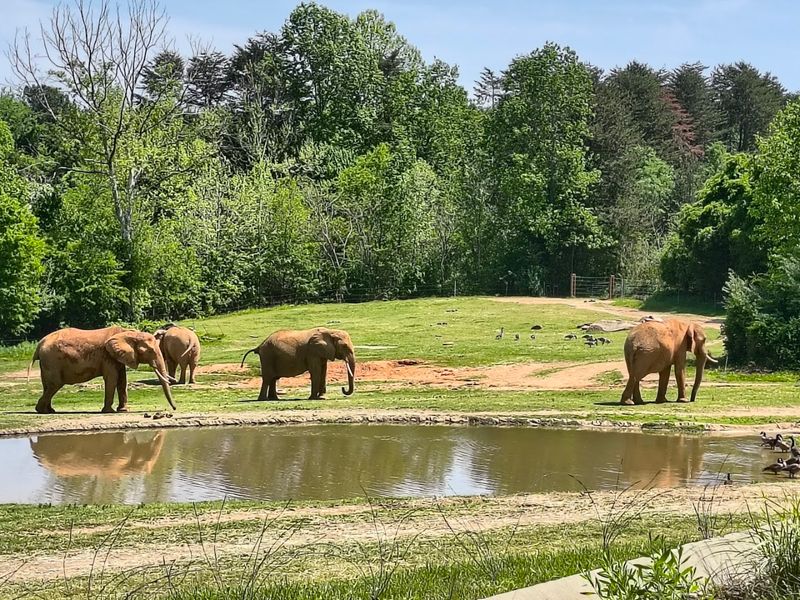 Conservation Is at the Heart of Everything