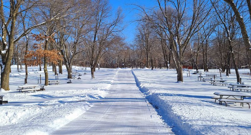 Winter's Quiet Transformation