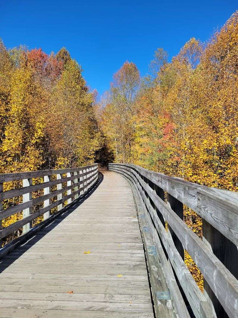October's Leaf-Peeping Glory From A Bicycle Seat