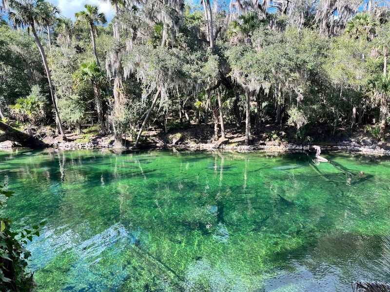 Blue Spring State Park - Orange City