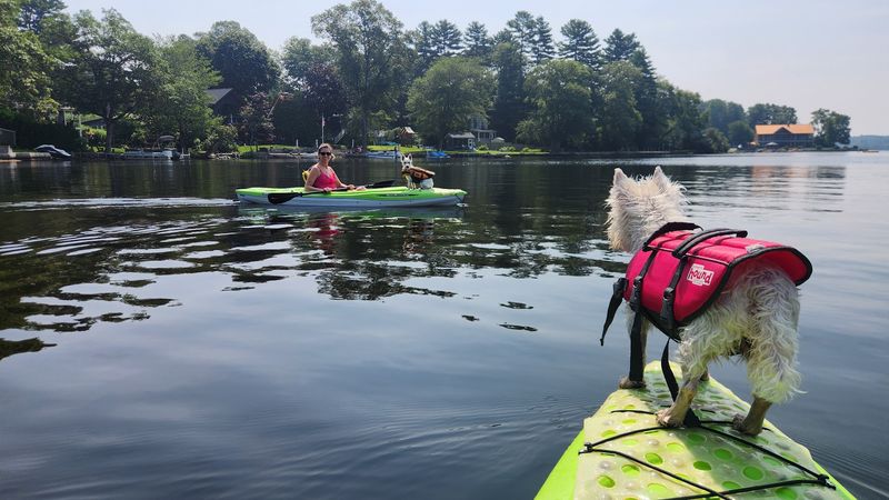 Pachaug Pond