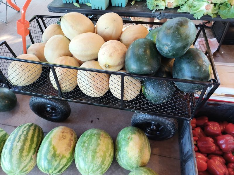 Hub City Farmers Market - Spartanburg