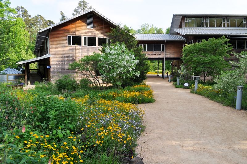A Place That Works Well For Families And Casual Visitors