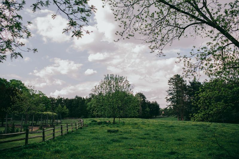 Timberlake Earth Sanctuary - Timberlake, Person County