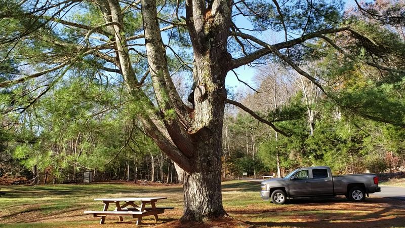 Picnic Areas Make It Easy To Stretch Out The Visit