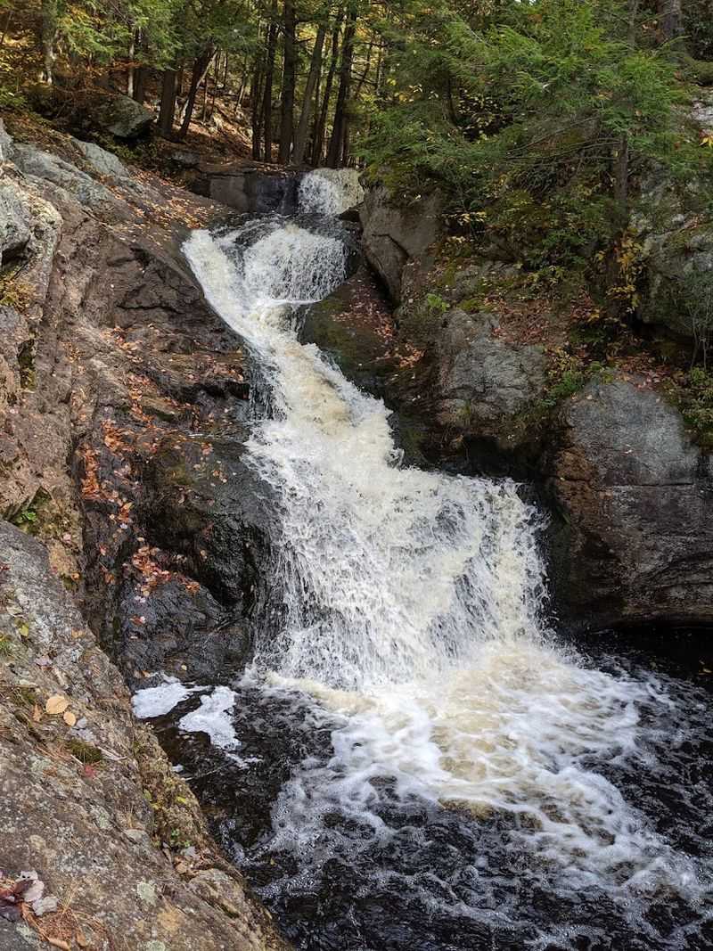 The First Cascade Hits Fast