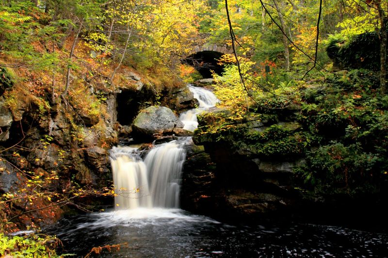 A Favorite For Nature Photographers
