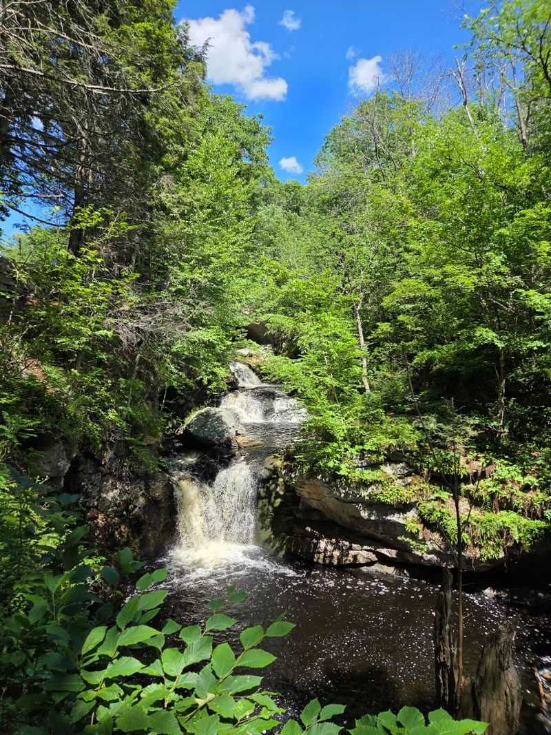 The Kind Of Place You Will Want To Visit Again
