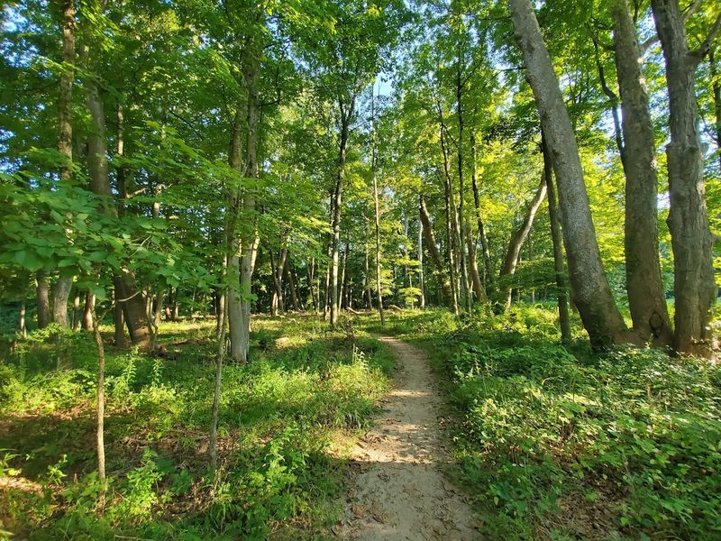 Bent of the River Audubon Center - Southbury, New Haven County