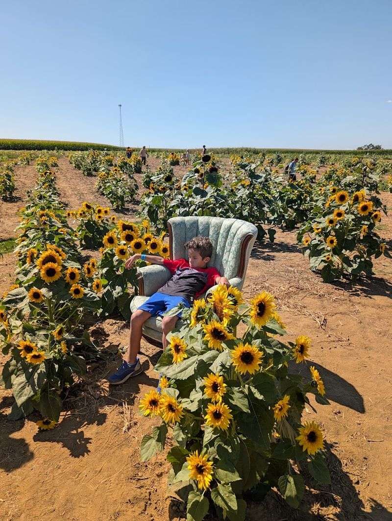 Cherry Crest Adventure Farm