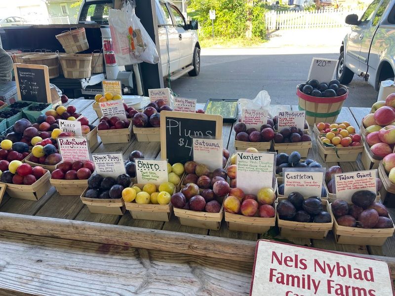 Fulton Street Farmers Market 