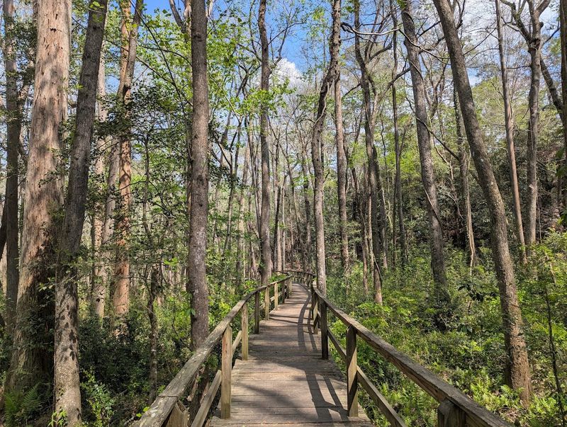 Kalmia Gardens, Hartsville, Darlington County