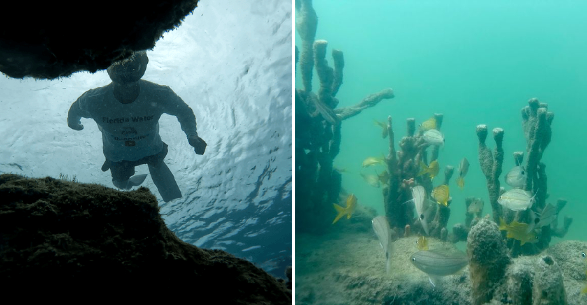Florida’s Free Snorkel Trail Delivers One of the Country’s Most Unforgettable Underwater Experiences