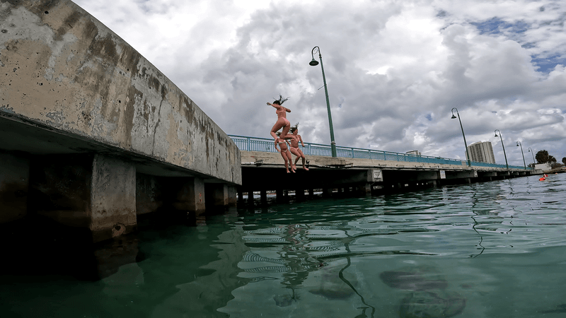 A Hidden Underwater Adventure Right Beneath Blue Heron Bridge
