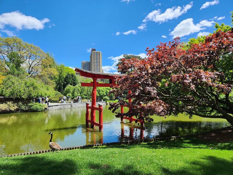 Prospect Park - Brooklyn, Kings County