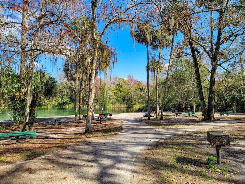 Camping And Picnics Turn A Swim Into A Getaway
