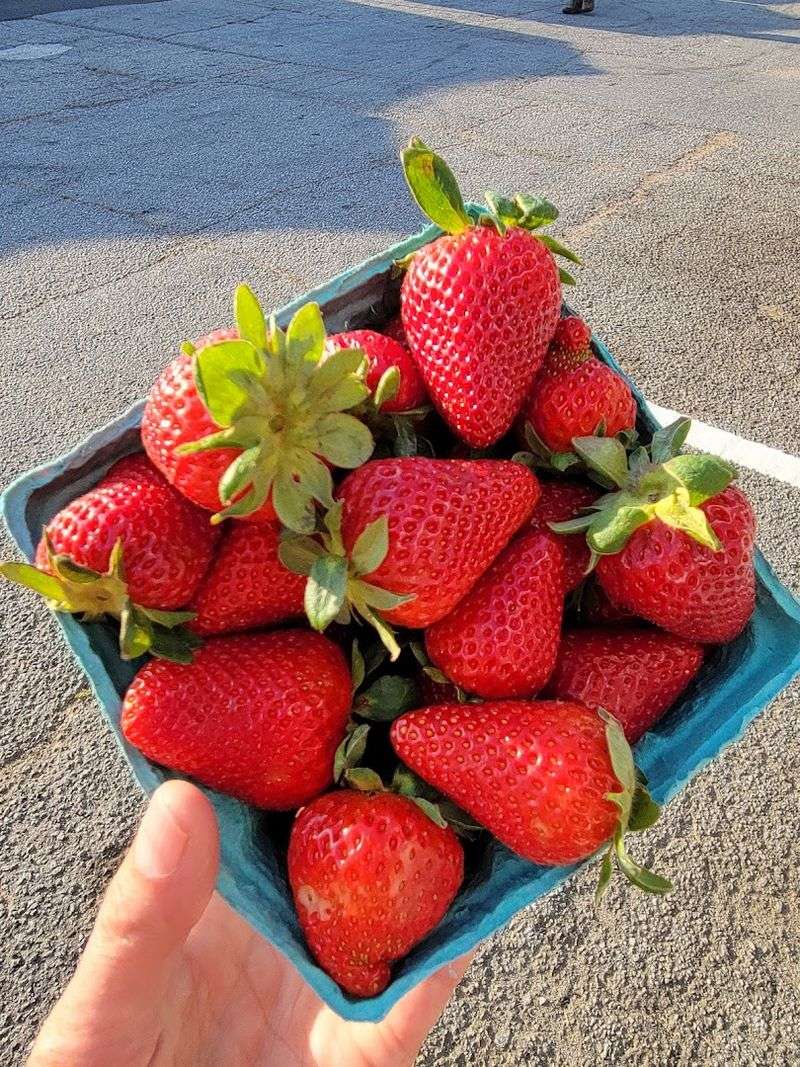 Marietta Square Farmers Market - Marietta, GA