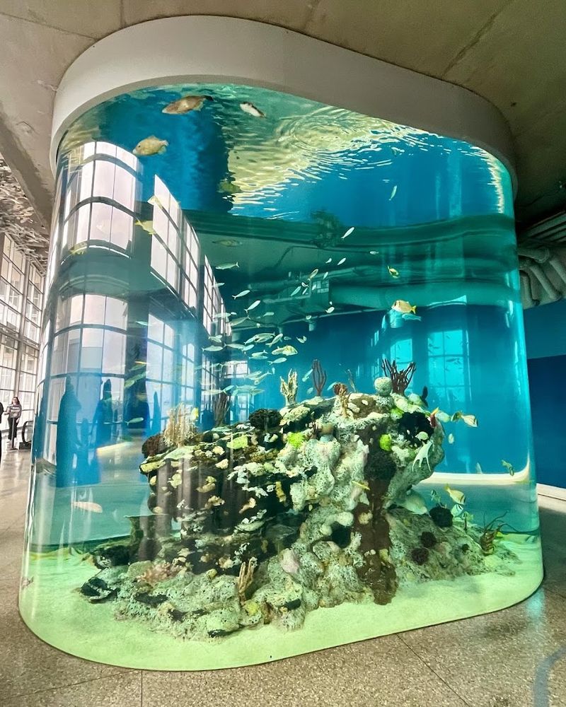 South Carolina Aquarium, Charleston, Charleston County