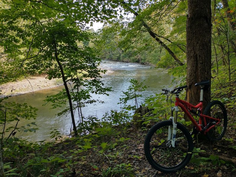 Creek-Side Companionship Along Your Entire Journey