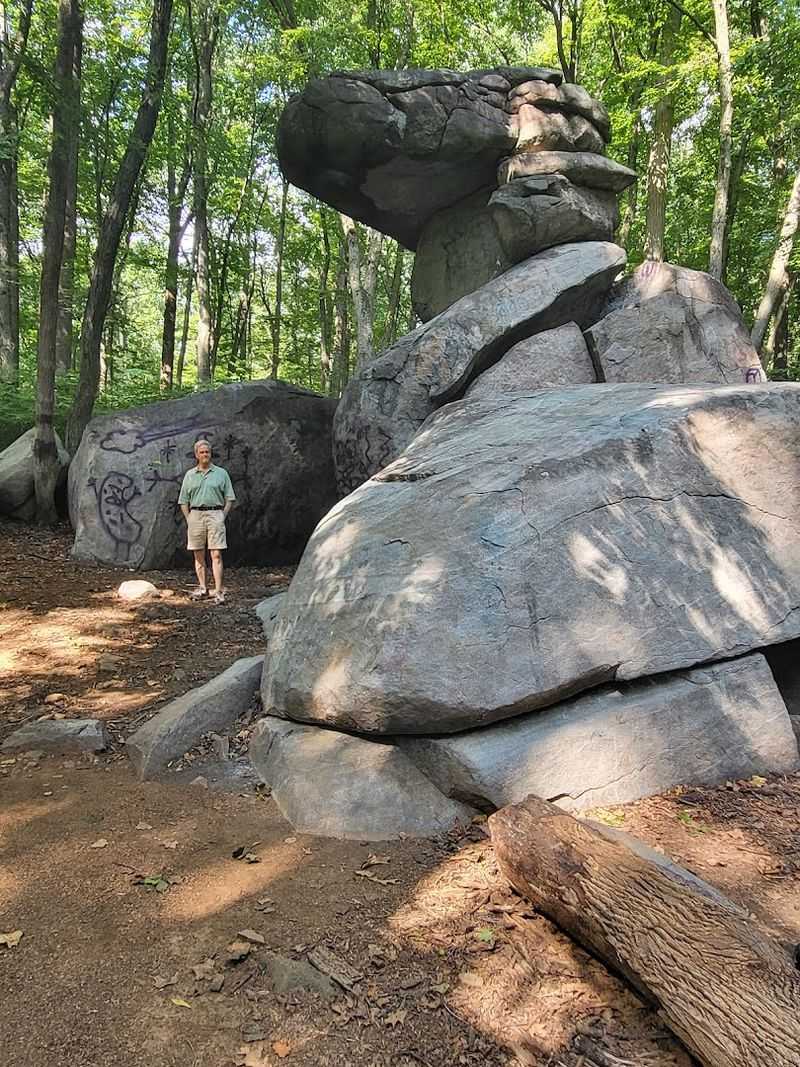 Dinosaur Rock / Devonian Exposure Site