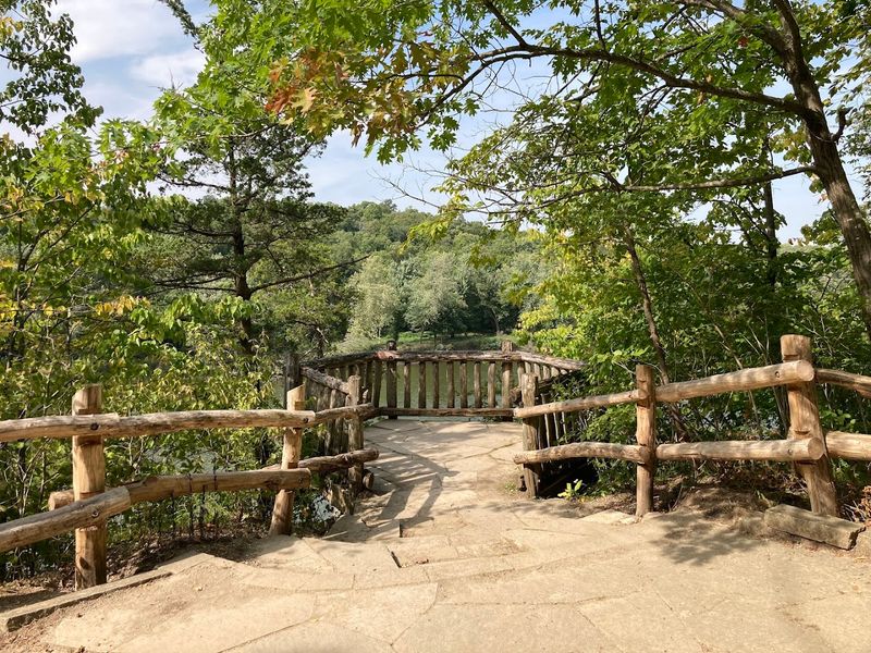 Birdwatcher's Paradise Where Morning Symphonies Fill The Air