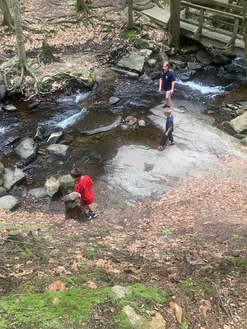 Wade Into Wild Beauty