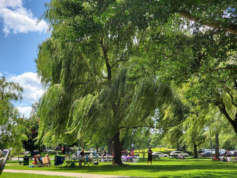 Salem Willows Park (Salem)