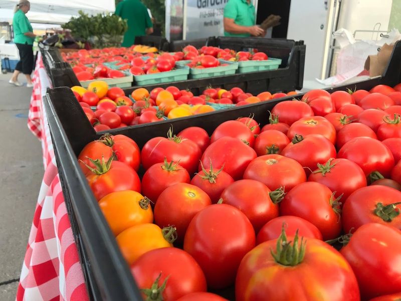 Sioux City Farmers&rsquo; Market - Sioux City