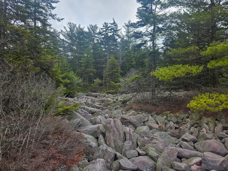 Hickory Run State Park Boulder Field