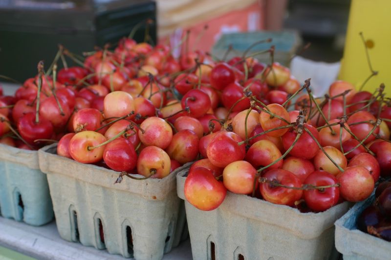 Holland Farmers Market 