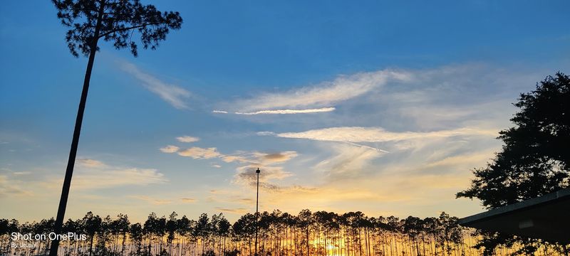 Golden Isles Scenic Byway - Brunswick, Glynn County