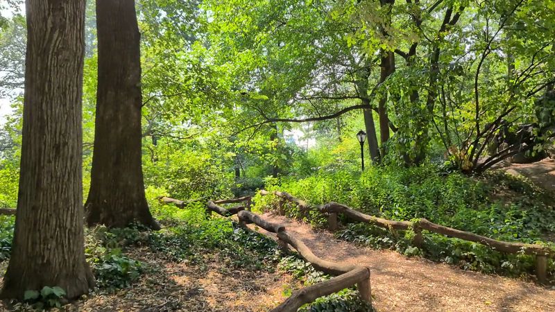 The Ramble Turns Every Walk Into An Adventure