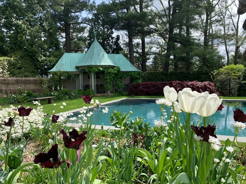 Water Features That Actually Relax