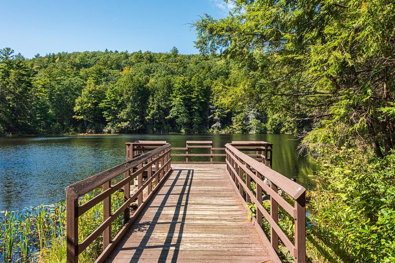 Mashapaug Lake